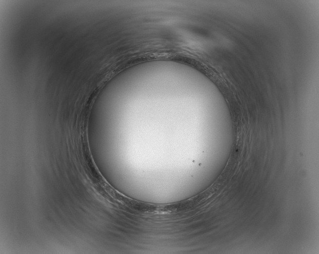 X0000084040647200702160854