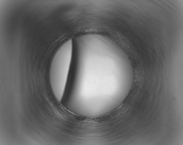 X0000084040648200702160854