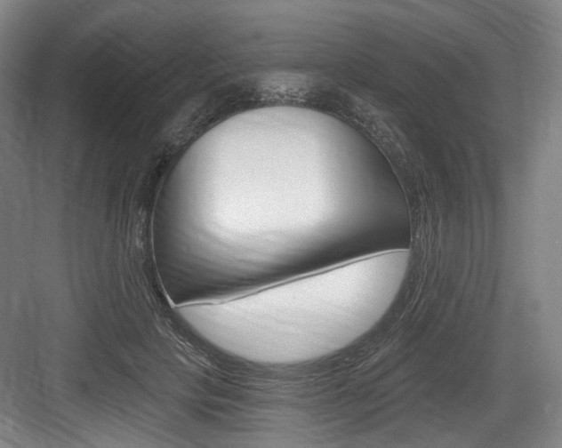 X0000084040649200702160854