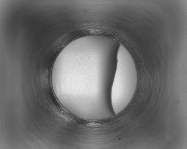X0000084040650200702160854