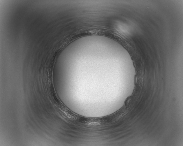 X0000084040653200702160854