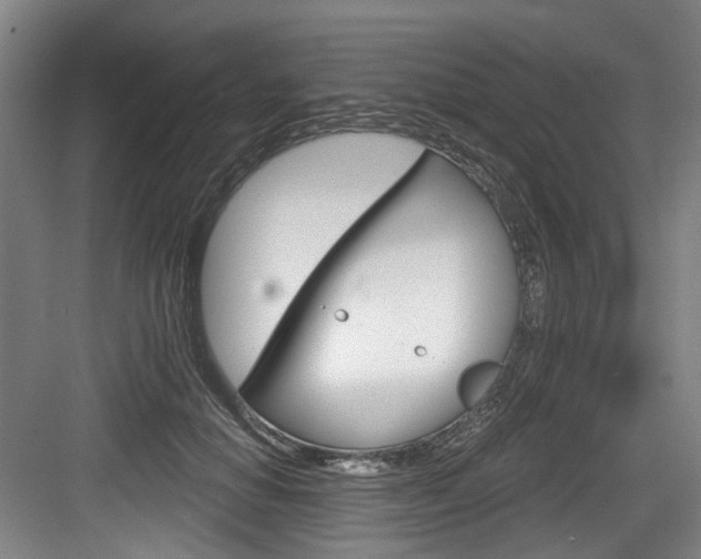 X0000084040654200702160854