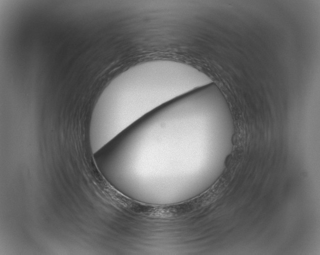 X0000084040656200702160854