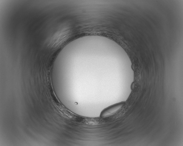 X0000084040658200702160854