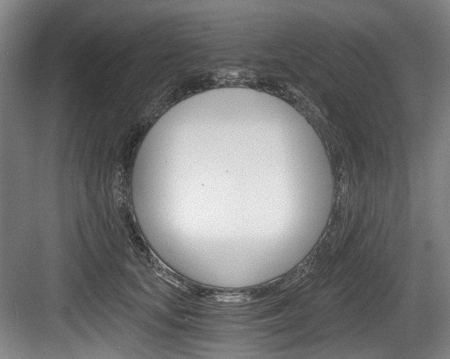 X0000084040659200702160854