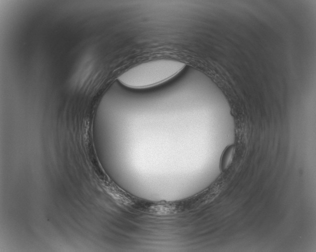 X0000084040660200702160855