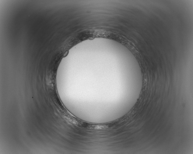 X0000084040663200702160855