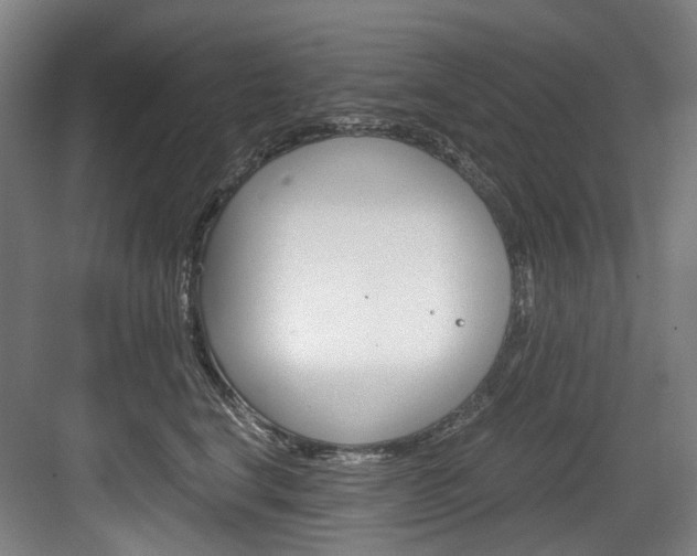 X0000084040664200702160855