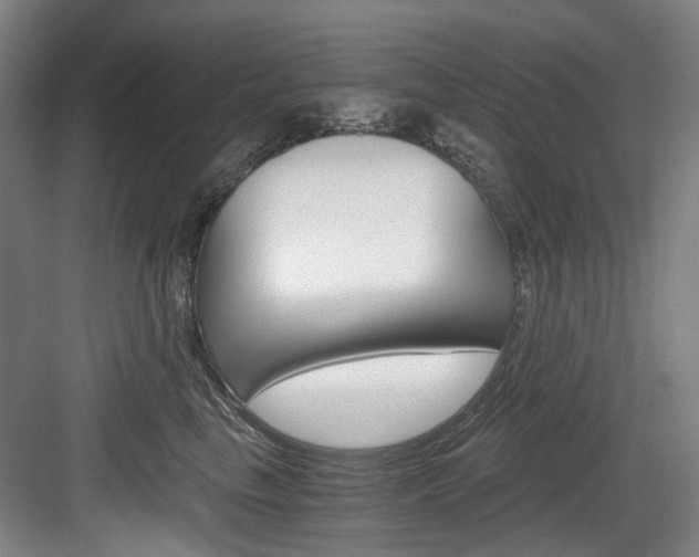 X0000084040665200702160855