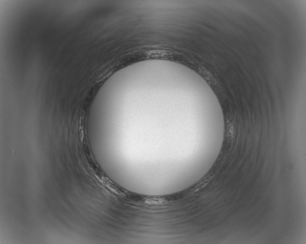 X0000084040666200702160855