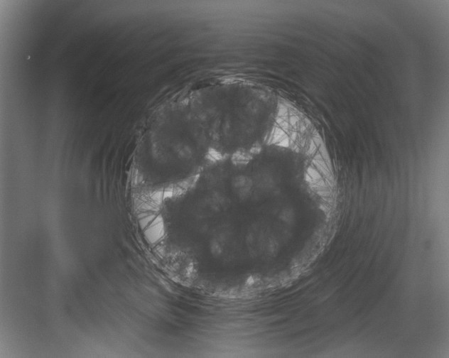 X0000084040667200702160855