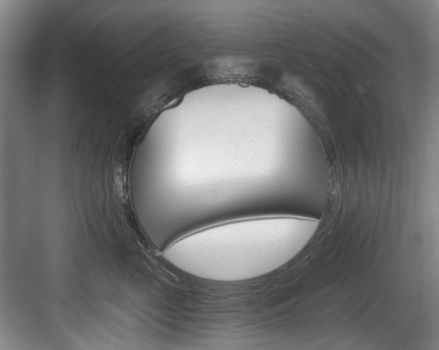 X0000084040669200702160855