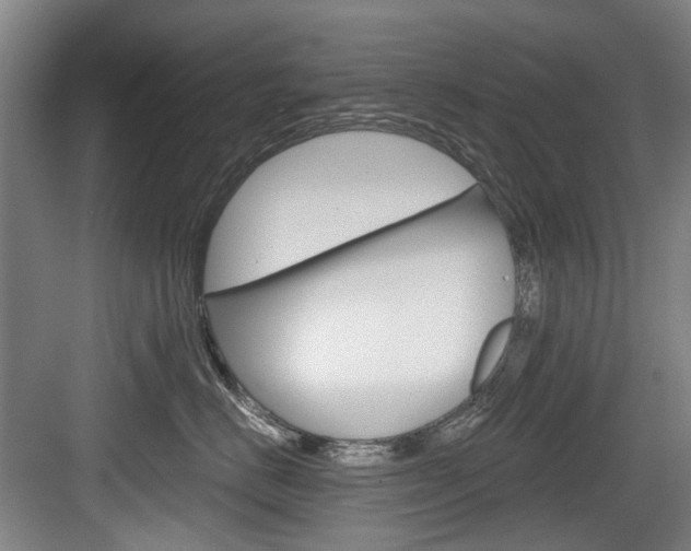 X0000084040670200702160855