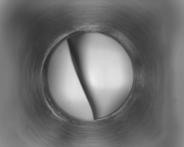 X0000084040674200702160854