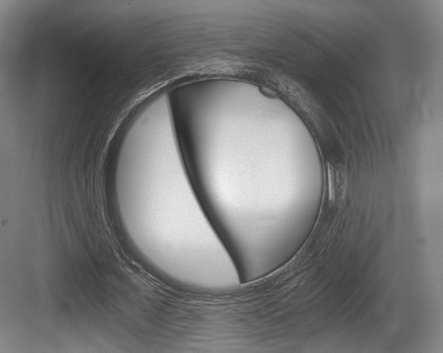 X0000084040675200702160854