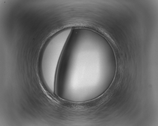 X0000084040677200702160854
