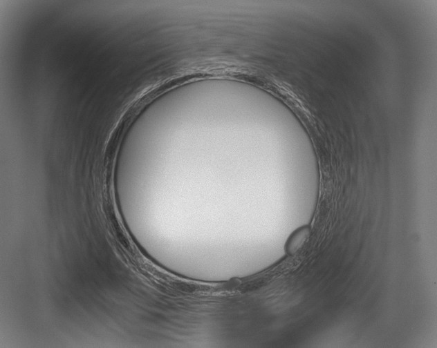 X0000084040679200702160854