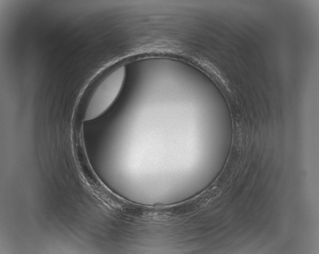 X0000084040680200702160854