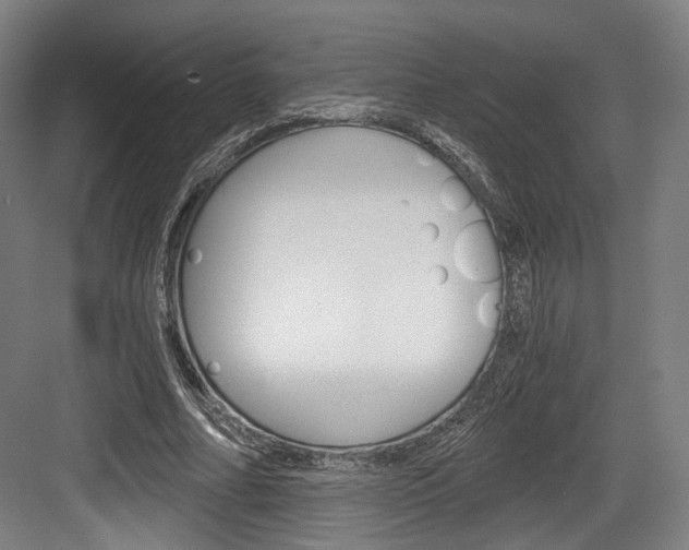 X0000084040682200702160854