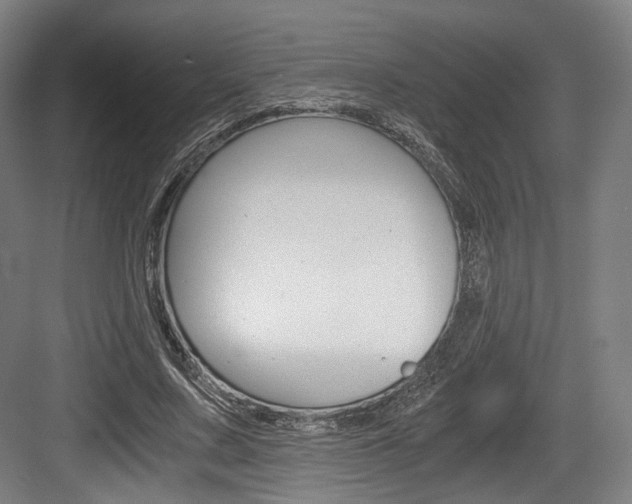 X0000084040683200702160854