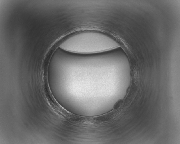 X0000084040684200702160854