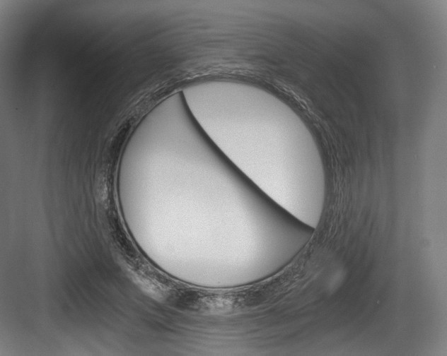 X0000084040687200702160854