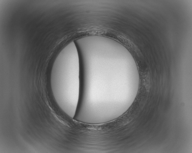 X0000084040690200702160854