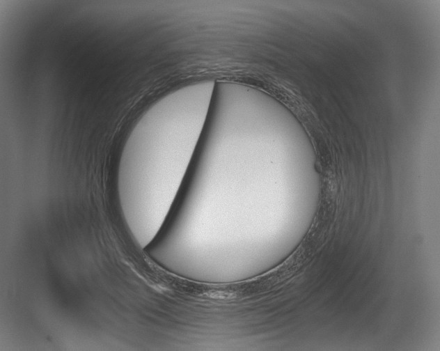 X0000084040691200702160854