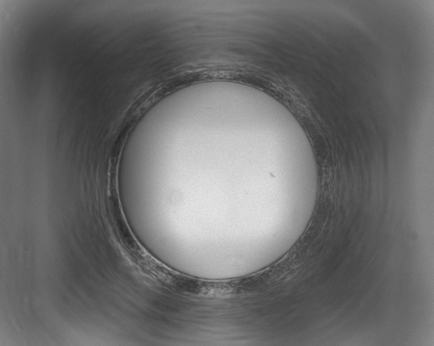 X0000084040694200702160854