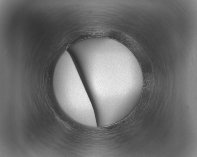 X0000084040695200702160854