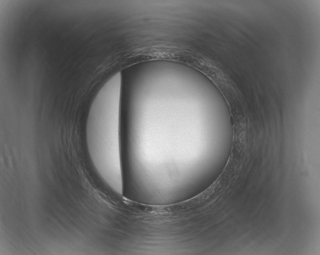 X0000084040696200702160854