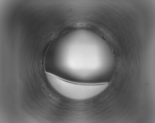 X0000084040700200702160853