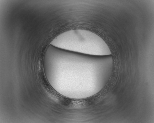 X0000084040703200702160853