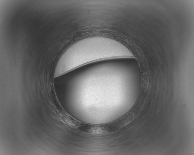 X0000084040704200702160853
