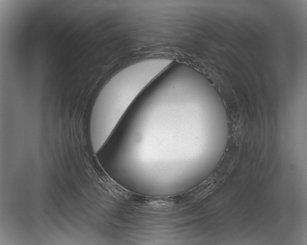 X0000084040708200702160853