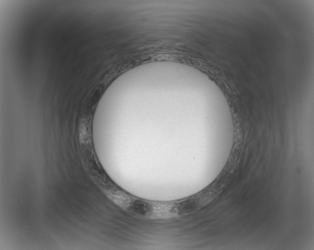 X0000084040709200702160853