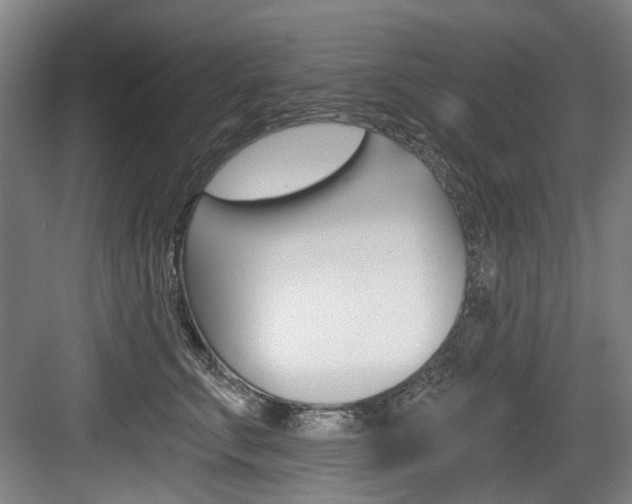 X0000084040711200702160853