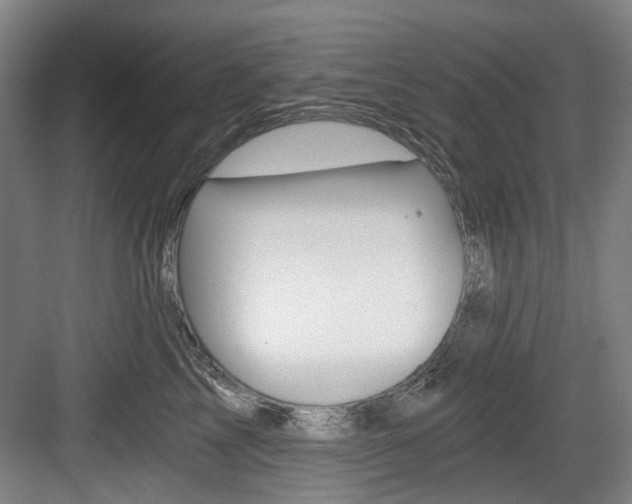 X0000084040713200702160853