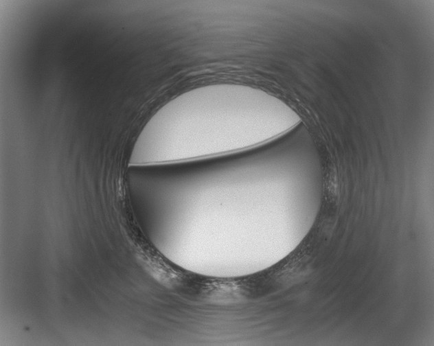 X0000084040715200702160853