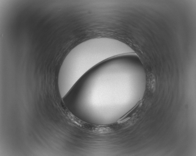 X0000084040716200702160853