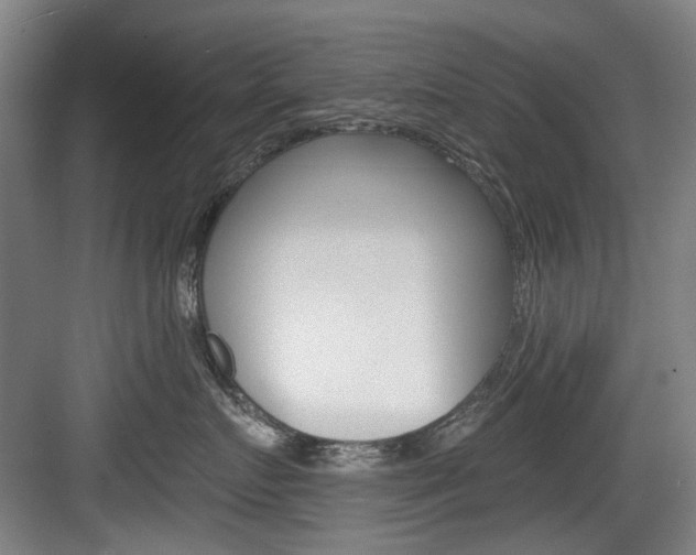X0000084040719200702160853