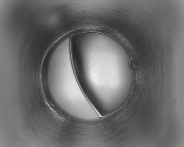 X0000084040722200702160852
