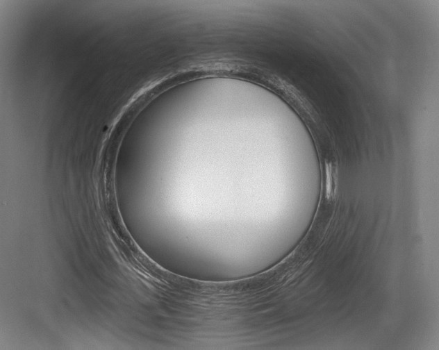 X0000084040723200702160852