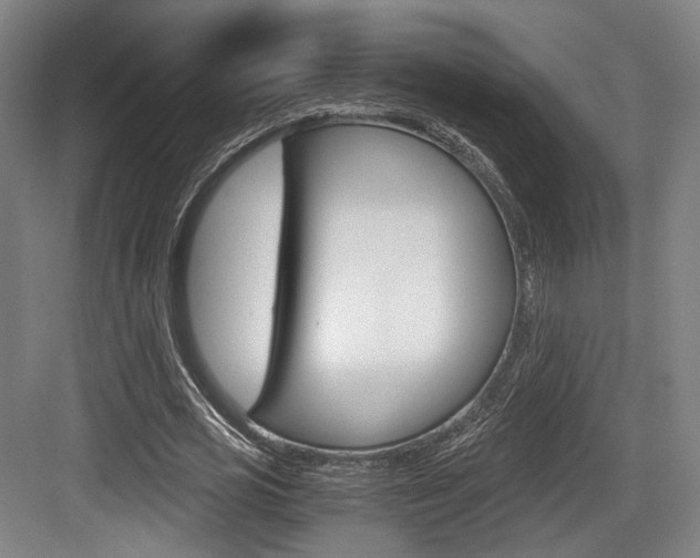X0000084040725200702160852