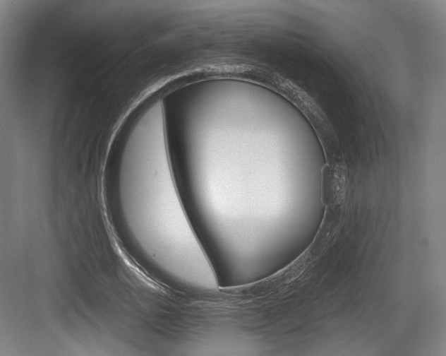 X0000084040726200702160852