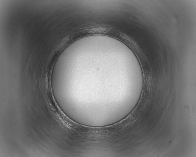 X0000084040729200702160852