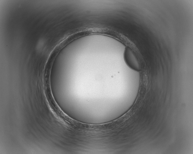 X0000084040730200702160852