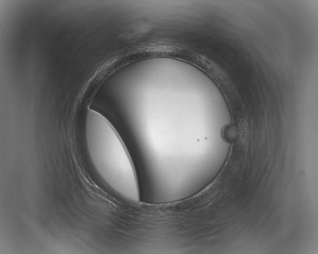 X0000084040731200702160852