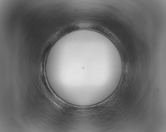 X0000084040733200702160853