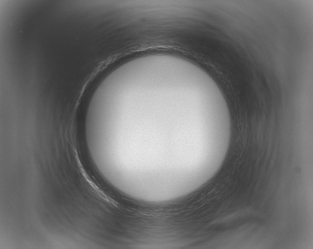 X0000084040734200702160853